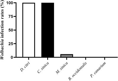 The phylogeny and distribution of Wolbachia in two pathogen vector insects, Asian citrus psyllid and Longan psyllid